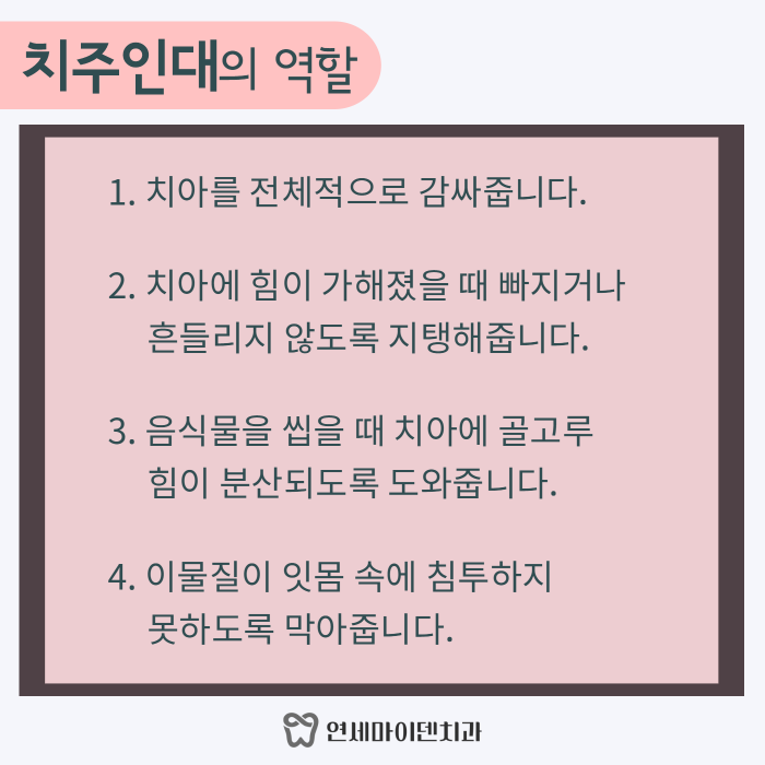 치아를 감싸주는 치주인대가 중요한 이유 (3).png