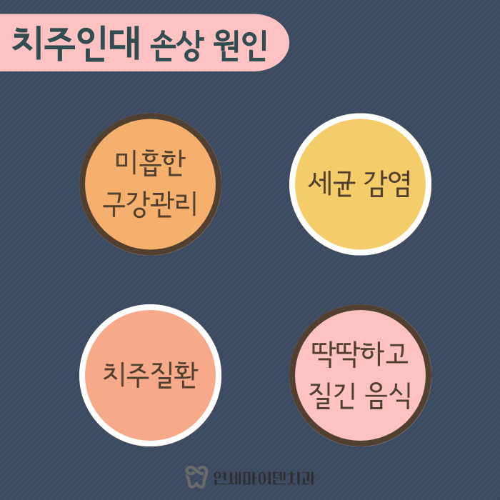 치아를 감싸주는 치주인대가 중요한 이유 (4).png