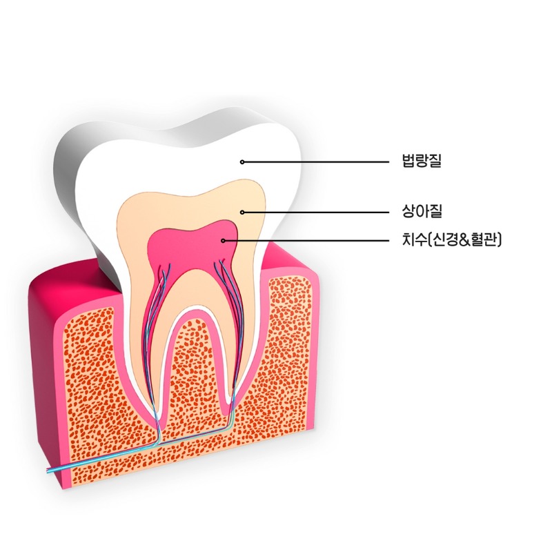 제목을 입력하세요 (1).jpg